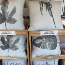 금강카페 이미지