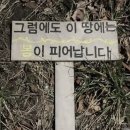 파란나라