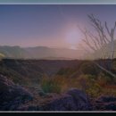 건강한미래약국 이미지