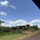 Happy Farm | 응고롱고로 숙소 Farm House 커피투어, 수영장 후기_나 홀로 탄자니아 숙소편 2