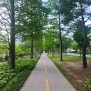 달려마을 | 포항·경주 자전거 코스 어디가 좋을까? 안계댐과 양동민속마을 라이딩 직접 달려본 후기