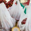 옛살비농장 이미지