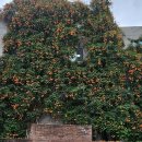 대봉1동행정복지센터 4층 이미지