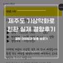 [제주도 결항 후기] 기상악화(강풍·급변풍)로 인한 실제 결항 대처법과 탈출 성공기