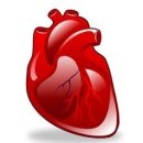 웰빙쇼핑몰 이미지