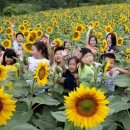 초천1리 이미지