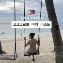 배그로브(BAE GROVE) | [필리핀/시키호르섬] 프리다이빙 성지- 시키호르 섬, 코코 그로브 리조트 내돈내산 후기