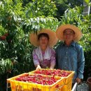 정섭농장 이미지