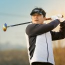 ⛳️엘르 파크골프 래슨 동영상 몰아보기⛳️ 이미지