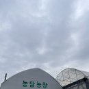 필농장 | 가볼만한 곳] 실내 놀이터가 있는 딸기농장 체험 공간, 농장을담다 내돈내산 솔직후기!(1팩씩 증정 🍓)