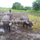 소로3-104 이미지