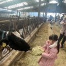 차주목장 이미지