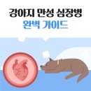 대흥동물병원 이미지