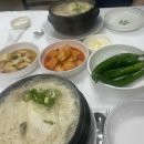 오로지김치한포기 이미지