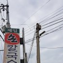 제일손칼국수 - 부천시 오정구 성지로101번길 38 | 제일손칼국수