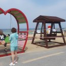 정동진놀자 이미지