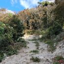 백아큰마을민박 이미지