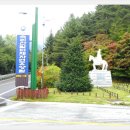 속리산말티재자연휴양림 이미지