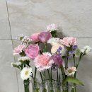 율하로L 이미지