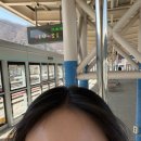 김밥속으로궐동점 | 2026년 3월