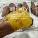 평화농장 | 꿀고구마 유기농고구마 무농약 베니하루카 평화노래농장