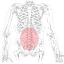 이과수비뇨기과의원 이미지