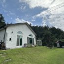 타샤의 아침 이미지