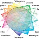 내성동물병원 이미지