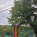 일영솔밭 | 서울근교 가볼만한곳 방갈로 수영장 계곡 당일치기 백숙괜찮은 일영한씨네
