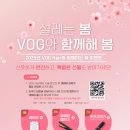 헤어보그 이미지