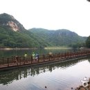 시네루당구장 이미지