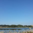 방포 Daum카페