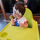 플렌 비 이미지