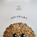내고향산야초