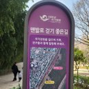 삼호공원 | [울산/무거동]태화강 국가정원 삼호지구 맨발걷기