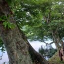 오형석 가옥 문간채 이미지