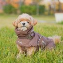 댕댕이타요(22고 0713) | 강아지 패딩 겨울옷 멀로 소형견 특허 디자인 올인원 아인푸퍼