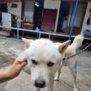 혜진이네민박 이미지