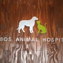 분당동물병원 이미지