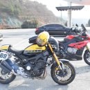 율대주유소 이미지