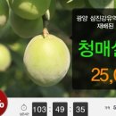 아이엠팜 이미지