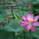 화개우체국 이미지