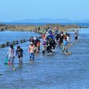 무창포어촌체험휴양마을 이미지