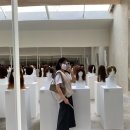 시우시우 이미지