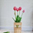 소코라코공방 네이버블로그
