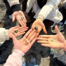 여수공원로 | 1월 시작