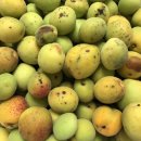 미로컴퍼니 이미지