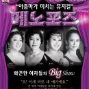 성주문화예술회관 공연장 이미지