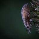 인동동 주민정보이용실 | 구미 야간진료병원 위치 정보 예약