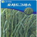 H0050 이미지
